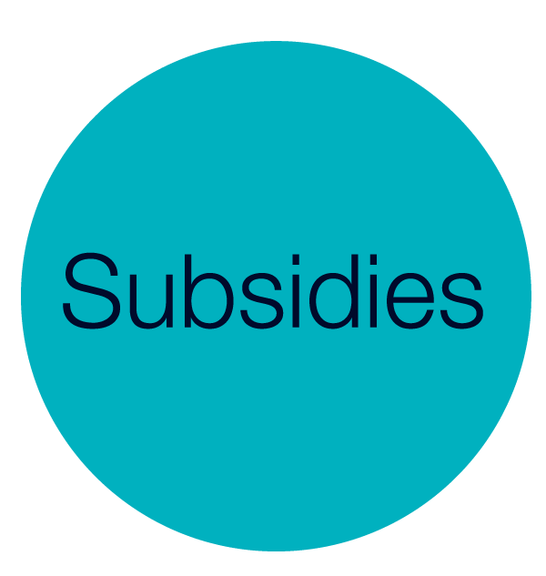 circular icon with the word subsidies